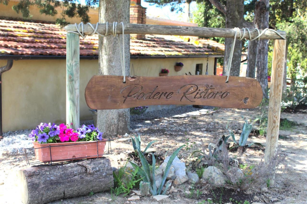 Casa Vacanza Podere Ristoro Apartment San Giovanni d'Asso Exterior photo